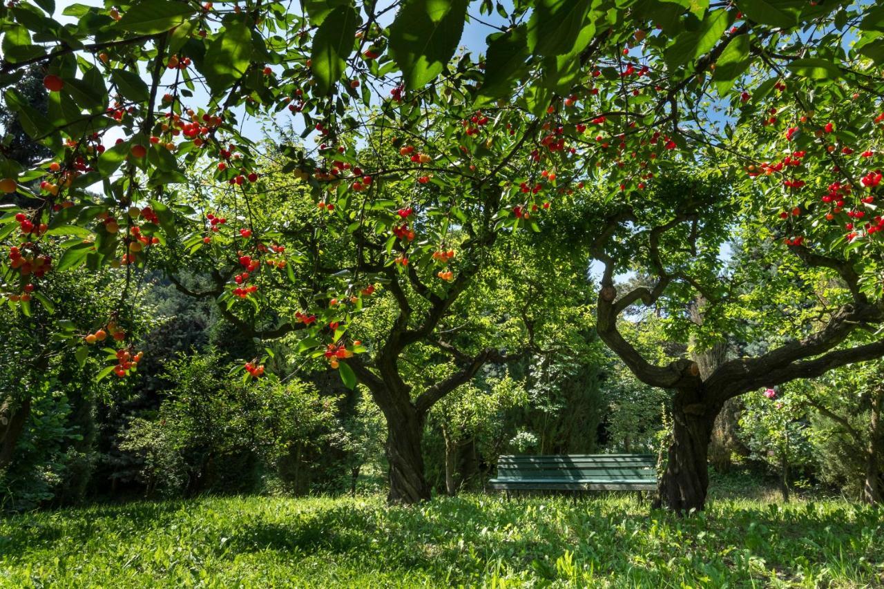 Sotto I Sassi Bed & Breakfast Guiglia Dış mekan fotoğraf